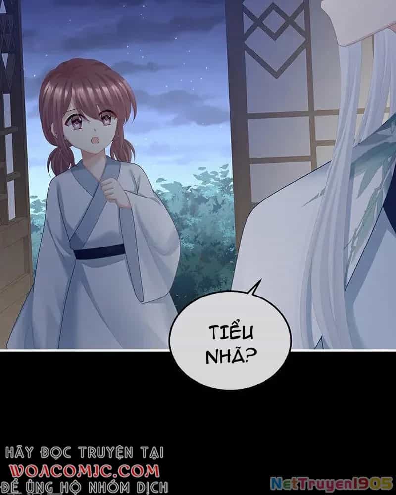 Hậu Cung Của Nữ Đế - Chương 465 - ảnh 3