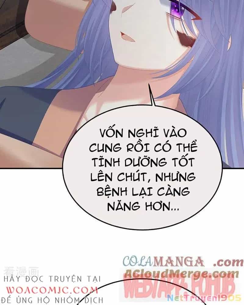 Hậu Cung Của Nữ Đế - Chương 472 - ảnh 46