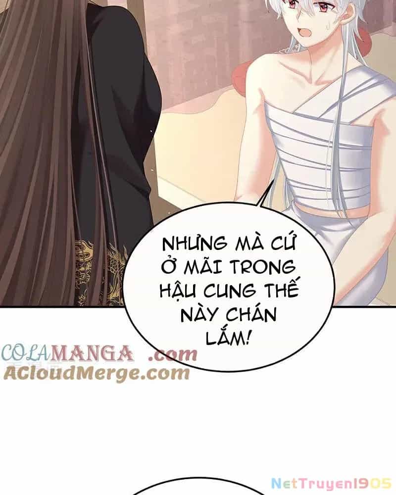 Hậu Cung Của Nữ Đế - Chương 477 - ảnh 27