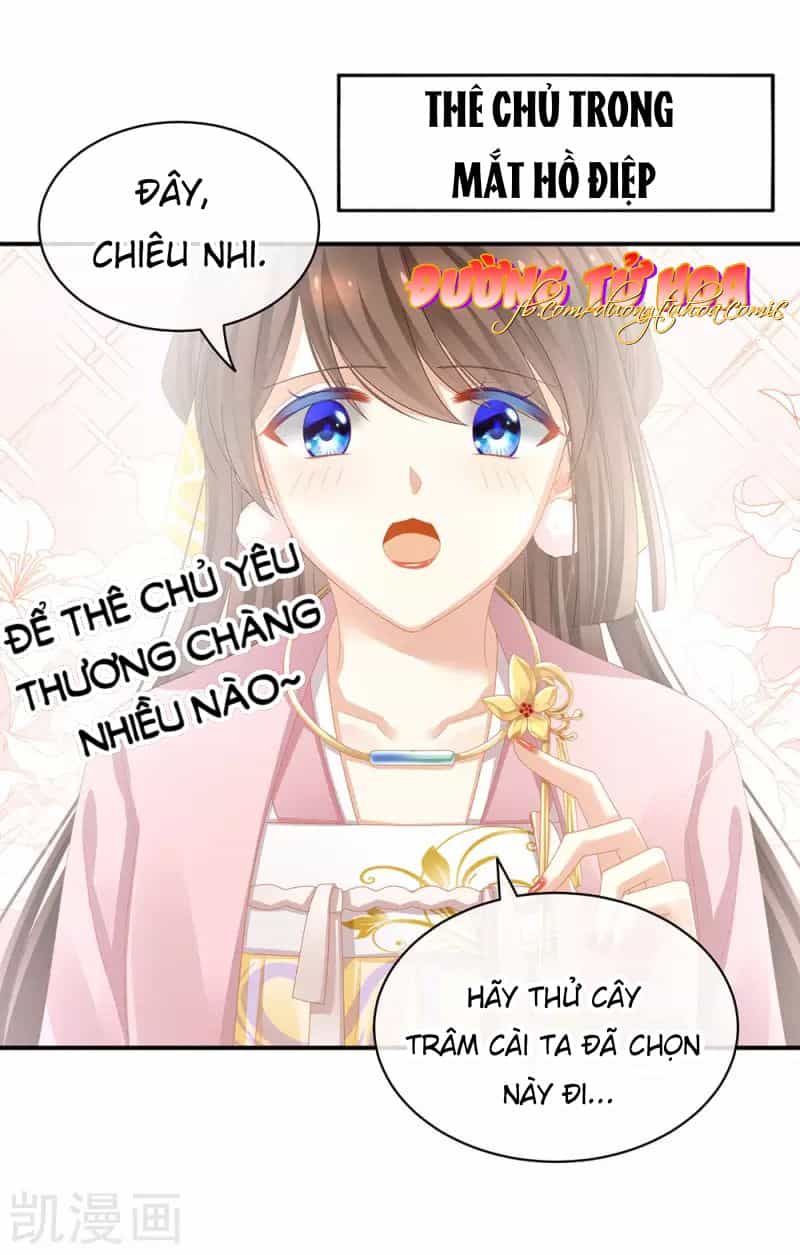 Hậu Cung Của Nữ Đế - Chương 61 - ảnh 14
