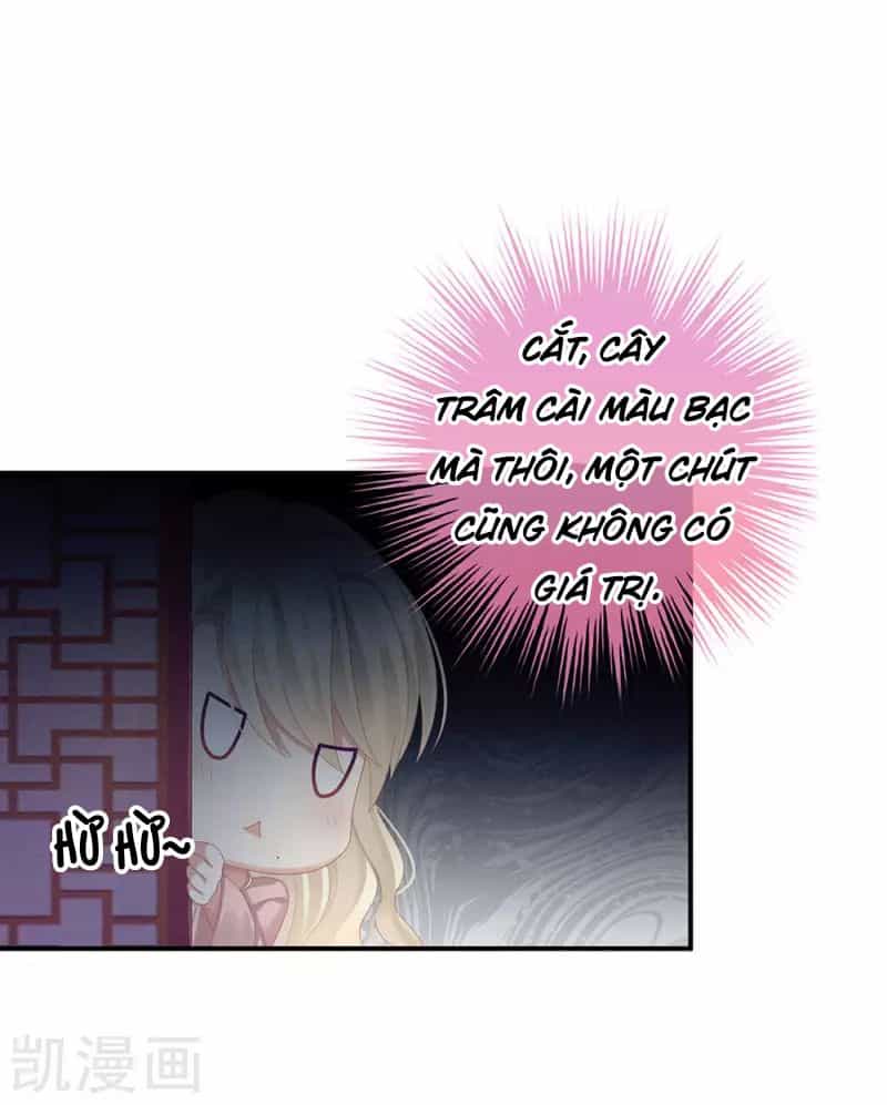Hậu Cung Của Nữ Đế - Chương 61 - ảnh 22