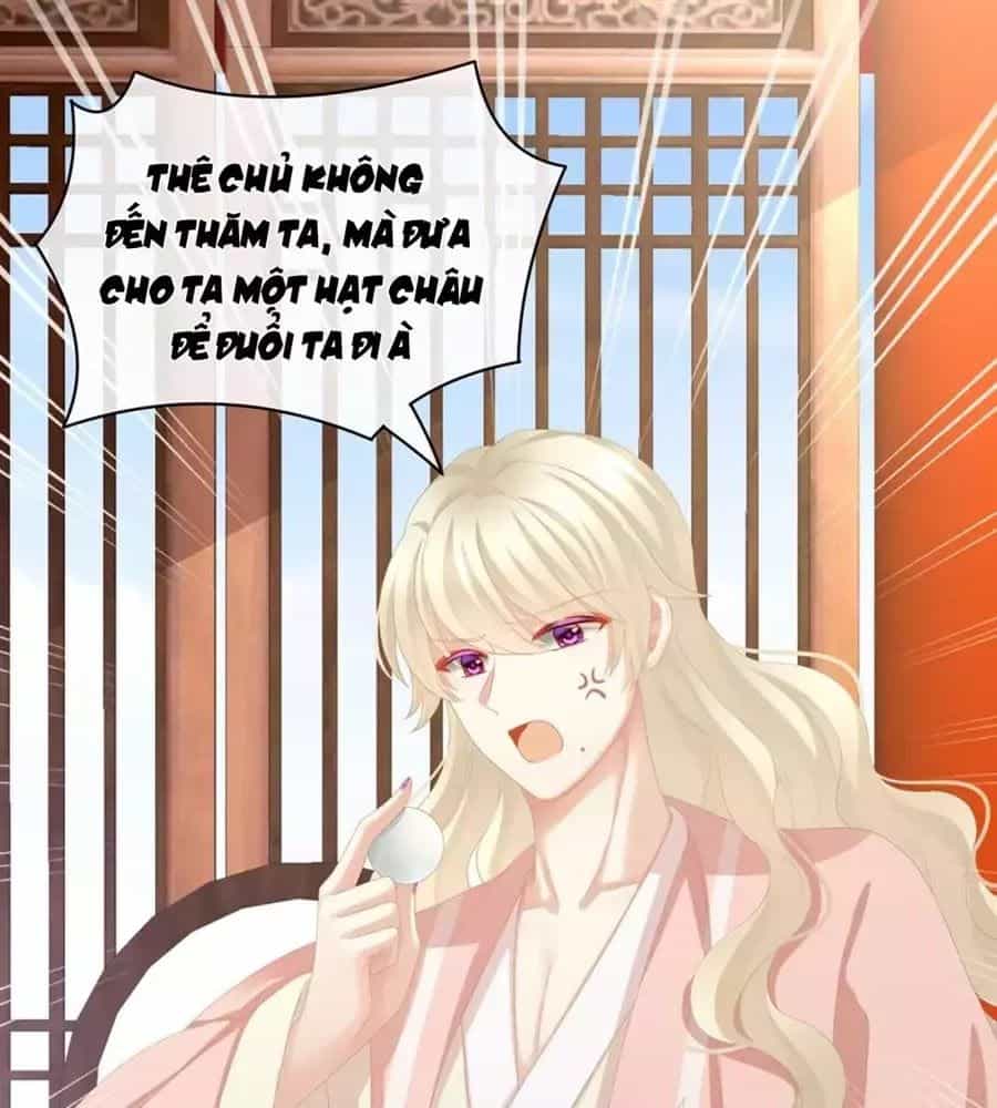 Hậu Cung Của Nữ Đế - Chương 87 - ảnh 35