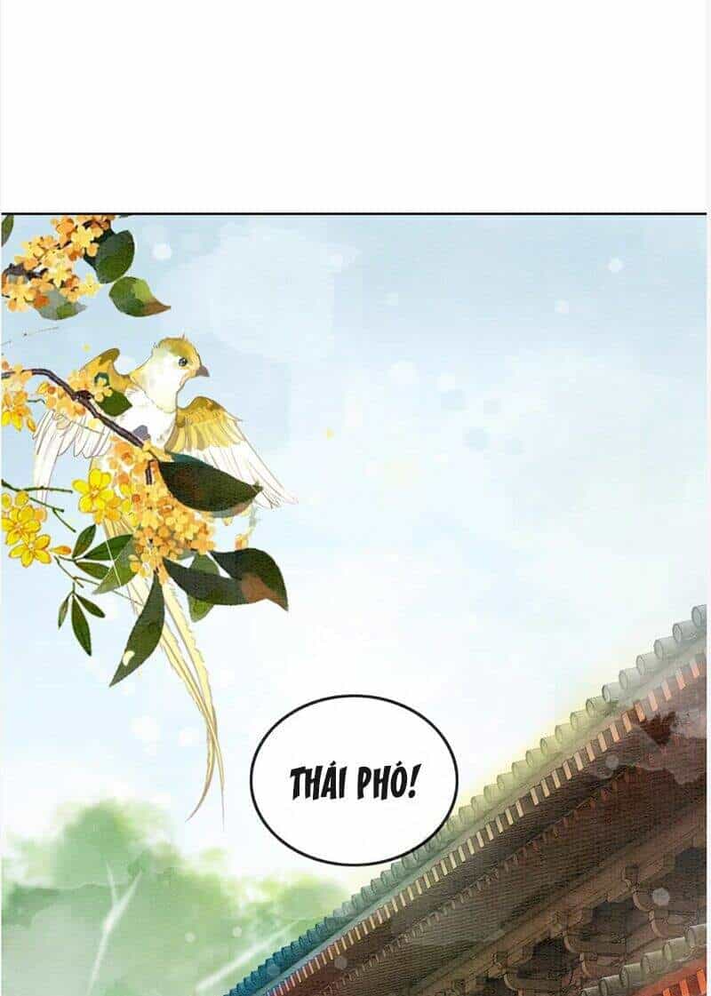 Hậu Cung Của Trẫm Cháy Rồi! - Chương 77 - ảnh 3