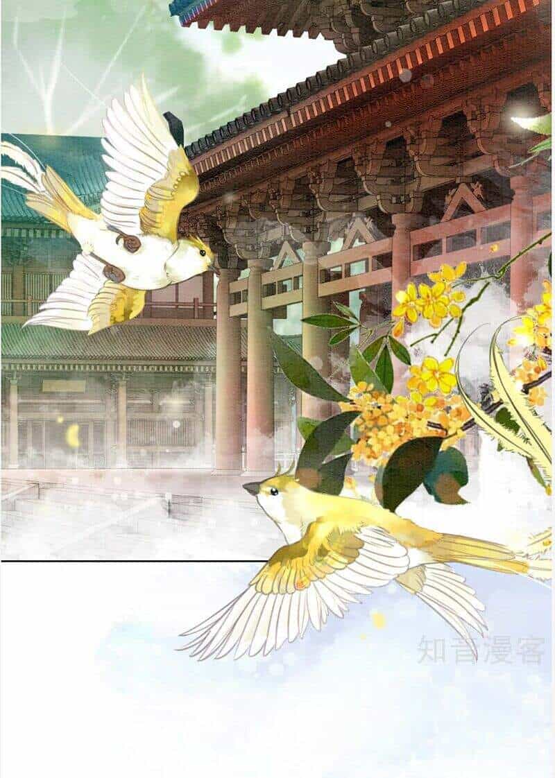 Hậu Cung Của Trẫm Cháy Rồi! - Chương 77 - ảnh 4