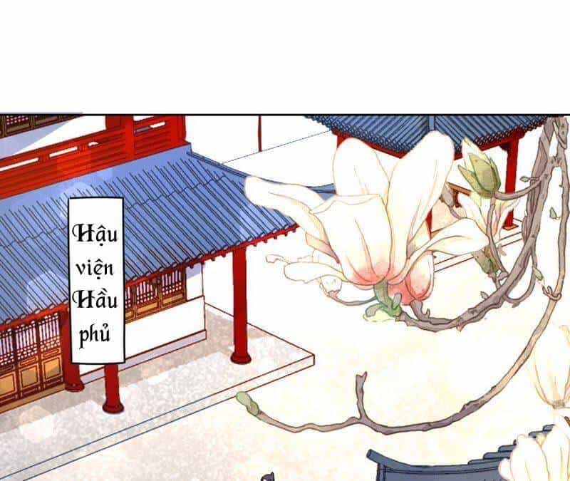 Hầu Gia Nhà Ta Không Sủng Ta - Chương 14 - ảnh 43