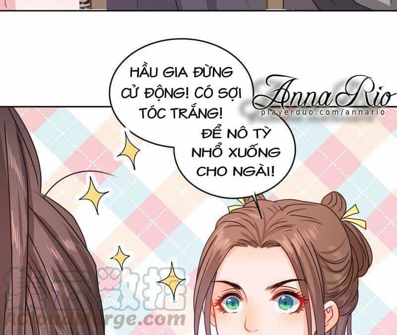 Hầu Gia Nhà Ta Không Sủng Ta - Chương 15 - ảnh 35