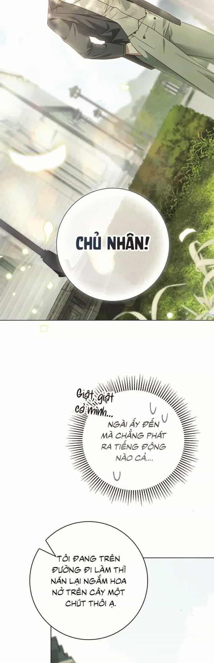 Hầu Nữ Bí Mật Của Bá Tước - Chương 83 - ảnh 30
