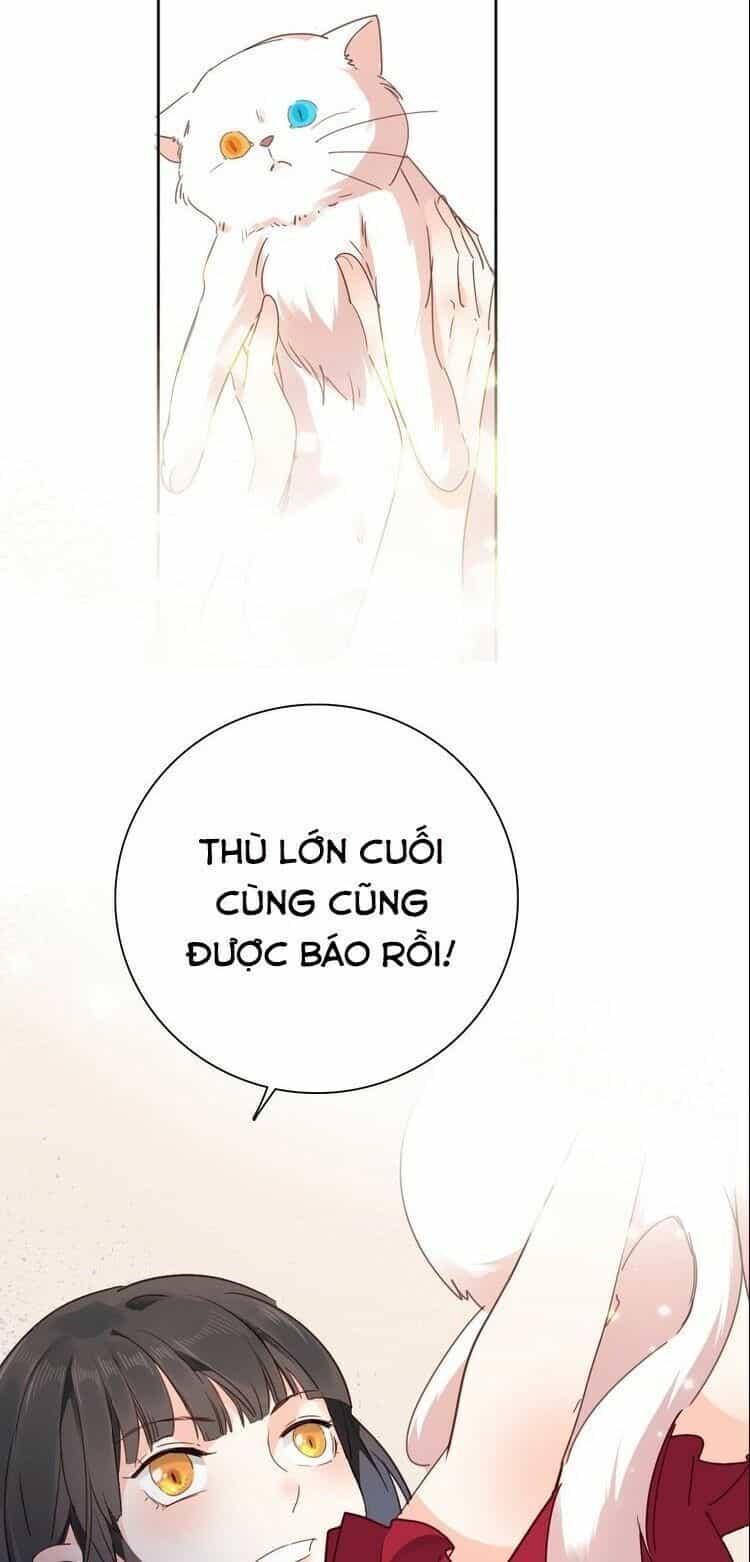 Hầu Nữ Giá Đáo - Chương 19 - ảnh 46