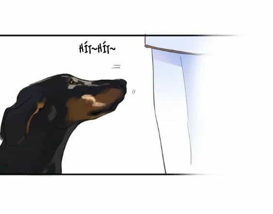 Hầu Nữ Giá Đáo - Chương 3 - ảnh 16