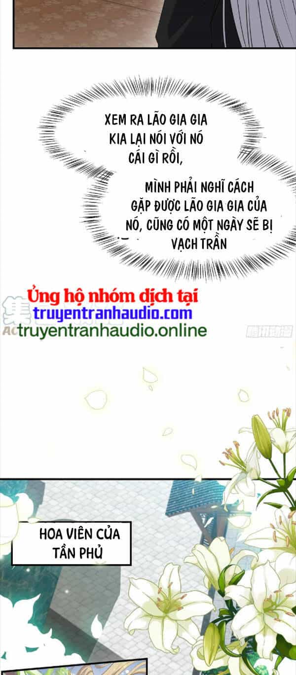 Hệ Thống Gánh Con Mạnh Nhất - Chương 19 - ảnh 29