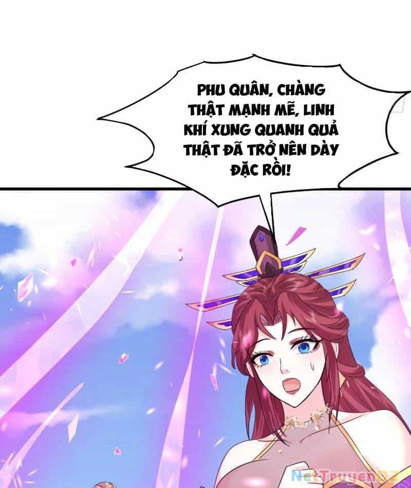 Hệ Thống Hèn Mọn Quỳ Xuống Cầu Xin Ta Vô Địch - Chương 24 - ảnh 24
