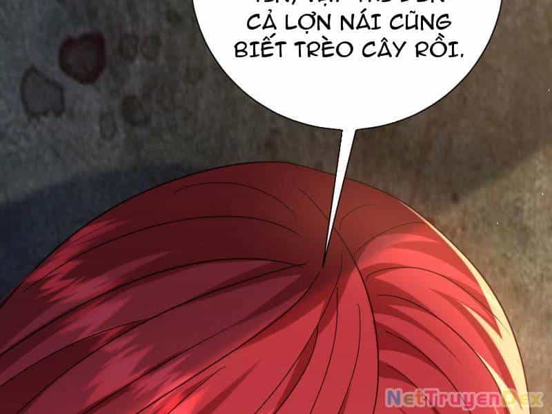 Hệ Thống Hèn Mọn Quỳ Xuống Cầu Xin Ta Vô Địch - Chương 26 - ảnh 24