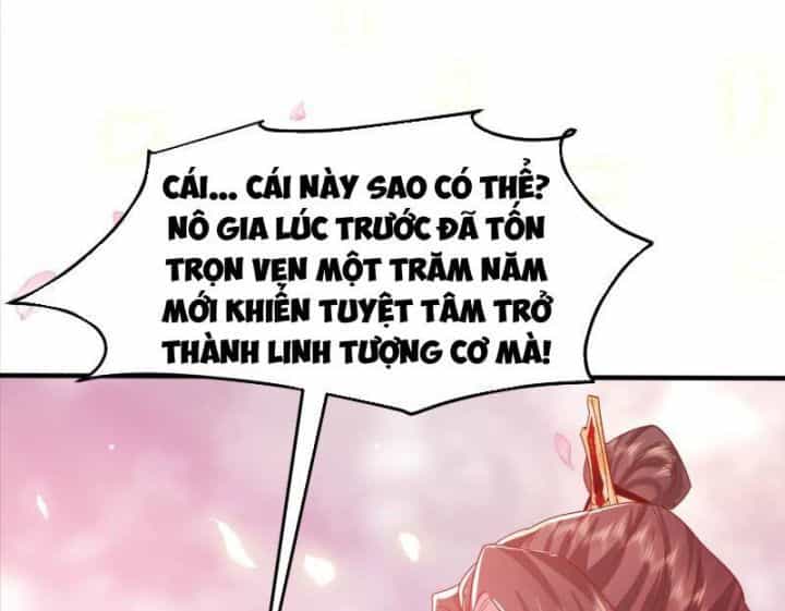 Hệ Thống Hèn Mọn Quỳ Xuống Cầu Xin Ta Vô Địch - Chương 29 - ảnh 30