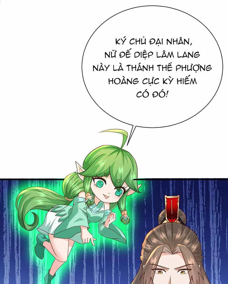 Hệ Thống Hèn Mọn Quỳ Xuống Cầu Xin Ta Vô Địch - Chương 3 - ảnh 19