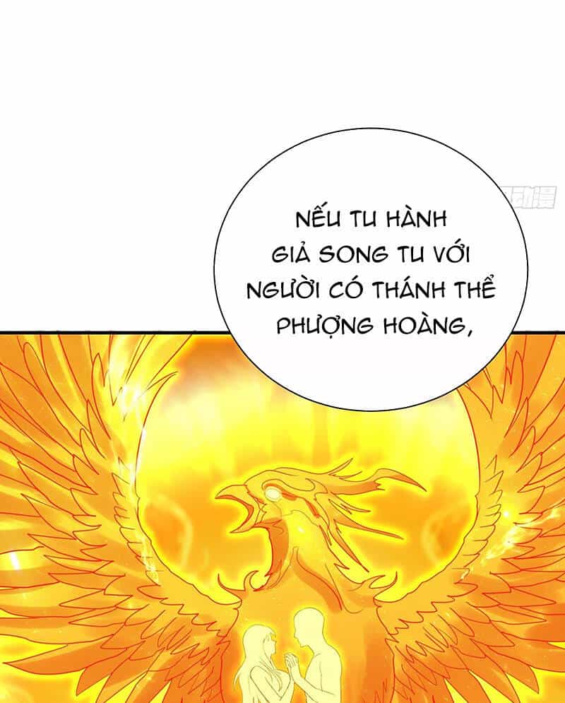 Hệ Thống Hèn Mọn Quỳ Xuống Cầu Xin Ta Vô Địch - Chương 3 - ảnh 21