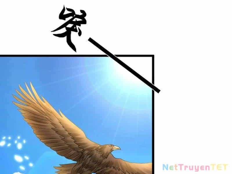 Hệ Thống Hèn Mọn Quỳ Xuống Cầu Xin Ta Vô Địch - Chương 36 - ảnh 69