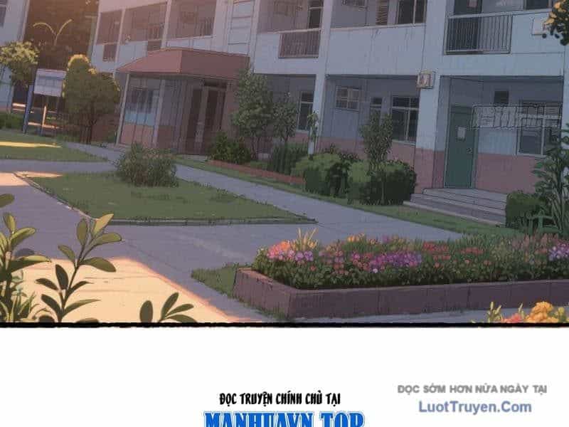Hệ Thống Hoàn Tiền: Vô Hạn Tự Do Tài Chính - Chương 12 - ảnh 25