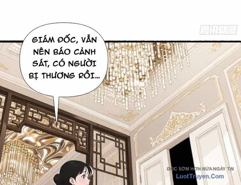 Hệ Thống Hoàn Tiền: Vô Hạn Tự Do Tài Chính - Chương 20 - ảnh 13