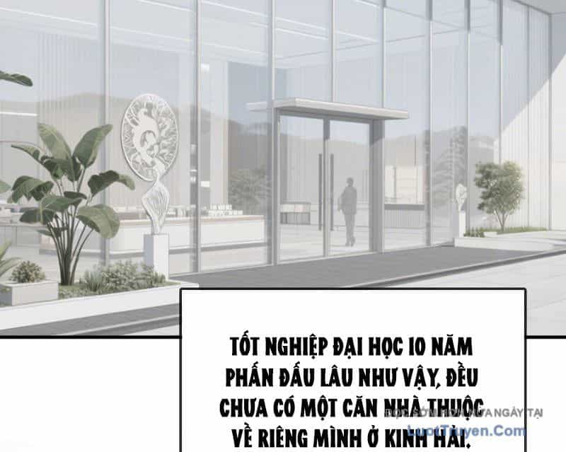 Hệ Thống Hoàn Tiền: Vô Hạn Tự Do Tài Chính - Chương 3 - ảnh 11