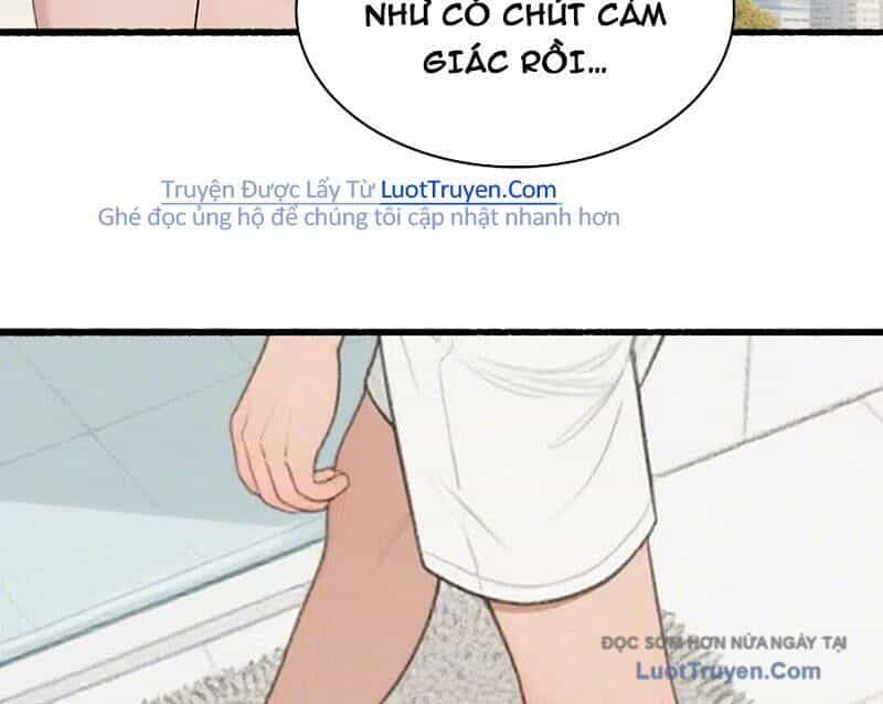 Hệ Thống Hoàn Tiền: Vô Hạn Tự Do Tài Chính - Chương 8 - ảnh 24