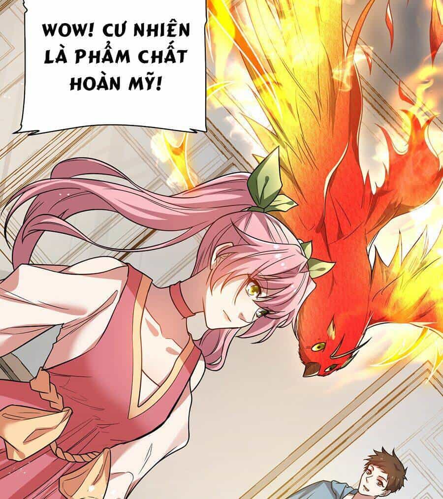 Hệ Thống Mô Phỏng Linh Sủng - Chương 11 - ảnh 33