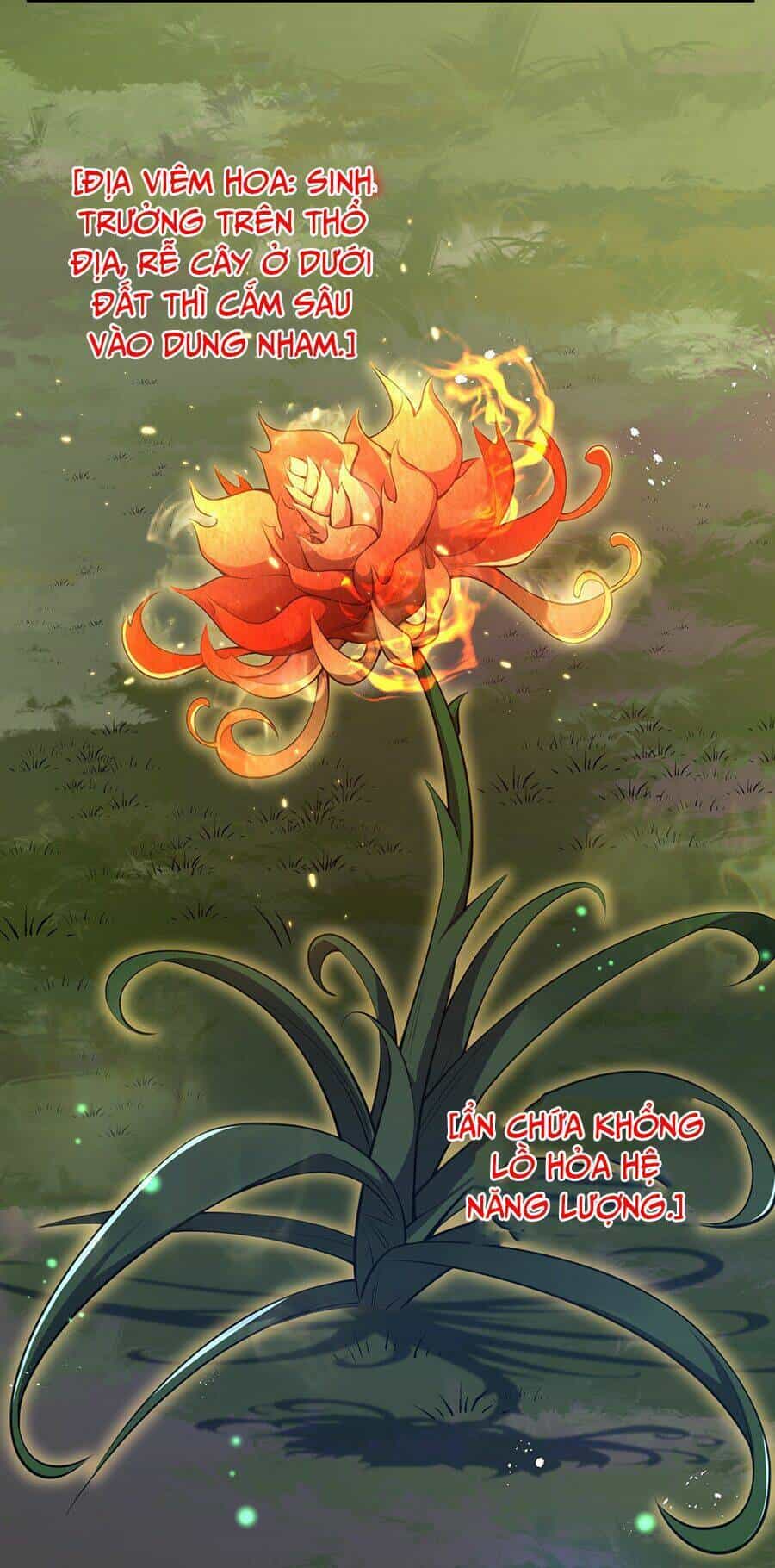 Hệ Thống Mô Phỏng Linh Sủng - Chương 13 - ảnh 37