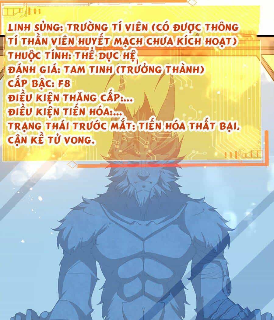 Hệ Thống Mô Phỏng Linh Sủng - Chương 20 - ảnh 46