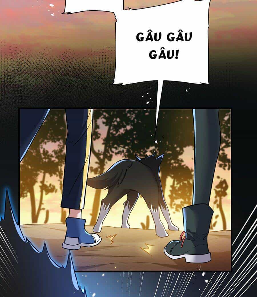Hệ Thống Mô Phỏng Linh Sủng - Chương 8 - ảnh 48