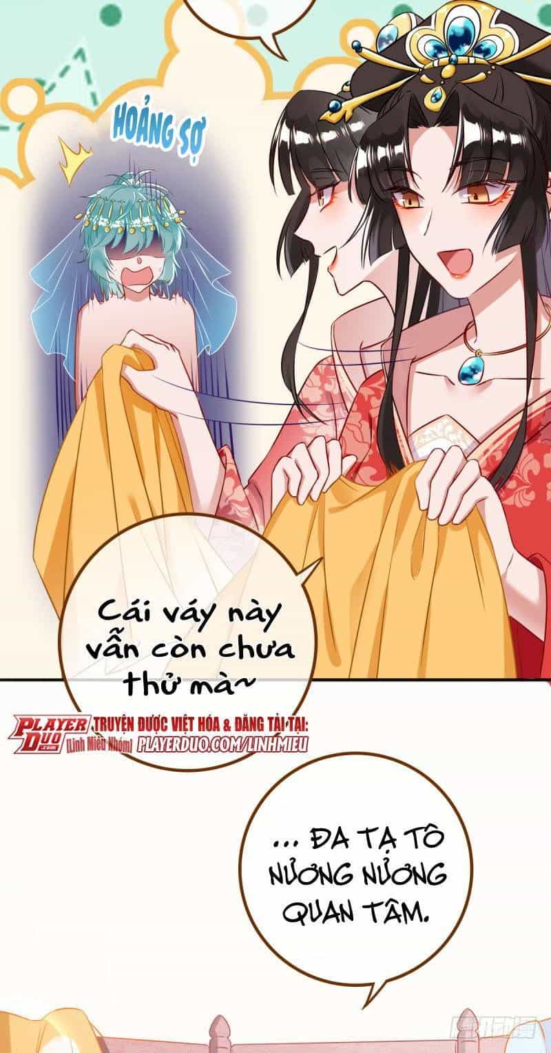 Hệ Thống Nghịch Tập - Chương 8 - ảnh 4