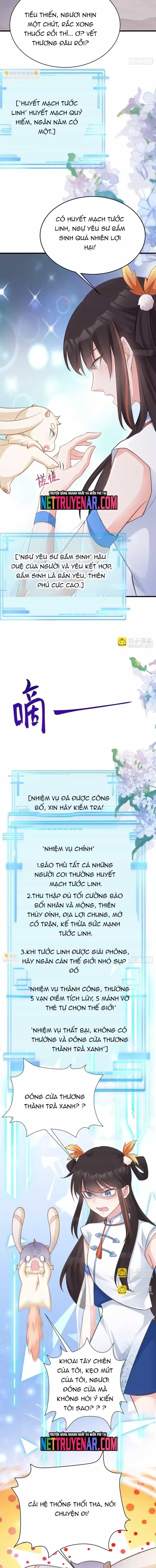 Hệ Thống Siêu Cấp Trà Xanh - Chương 31 - ảnh 11