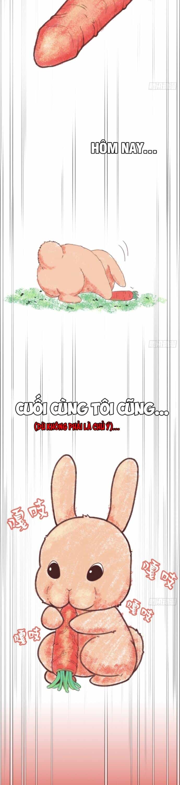 Hệ Thống Tận Thế Của Tôi Sụp Đổ Rồi - Chương 7 - ảnh 14
