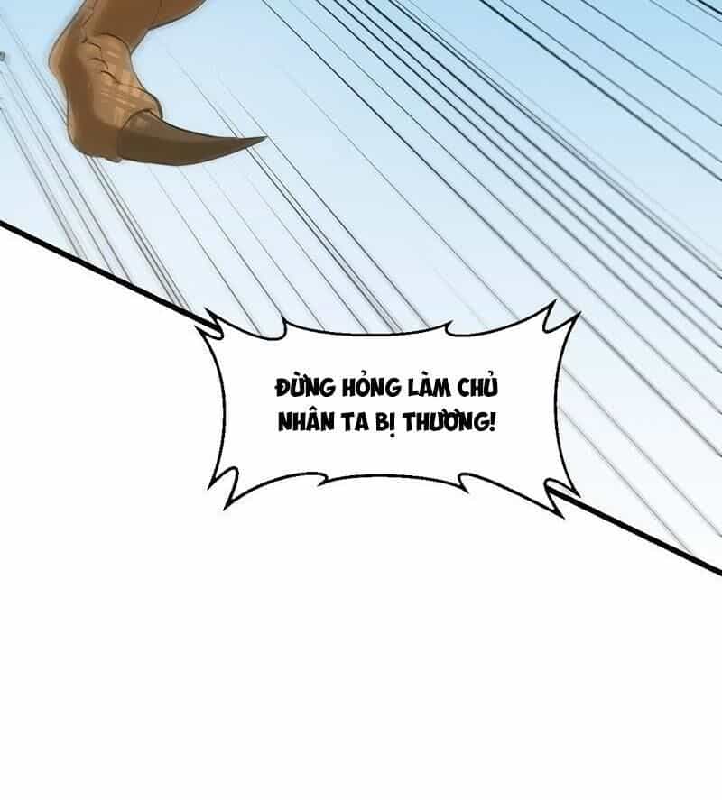 Hệ Thống Thần Long Nghịch Thiên - Chương 61 - ảnh 15