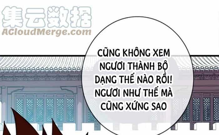Hệ Thống Thăng Cấp Điên Cuồng - Chương 32 - ảnh 24