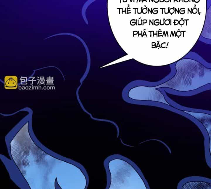 Hệ Thống Thăng Cấp Điên Cuồng - Chương 52 - ảnh 19