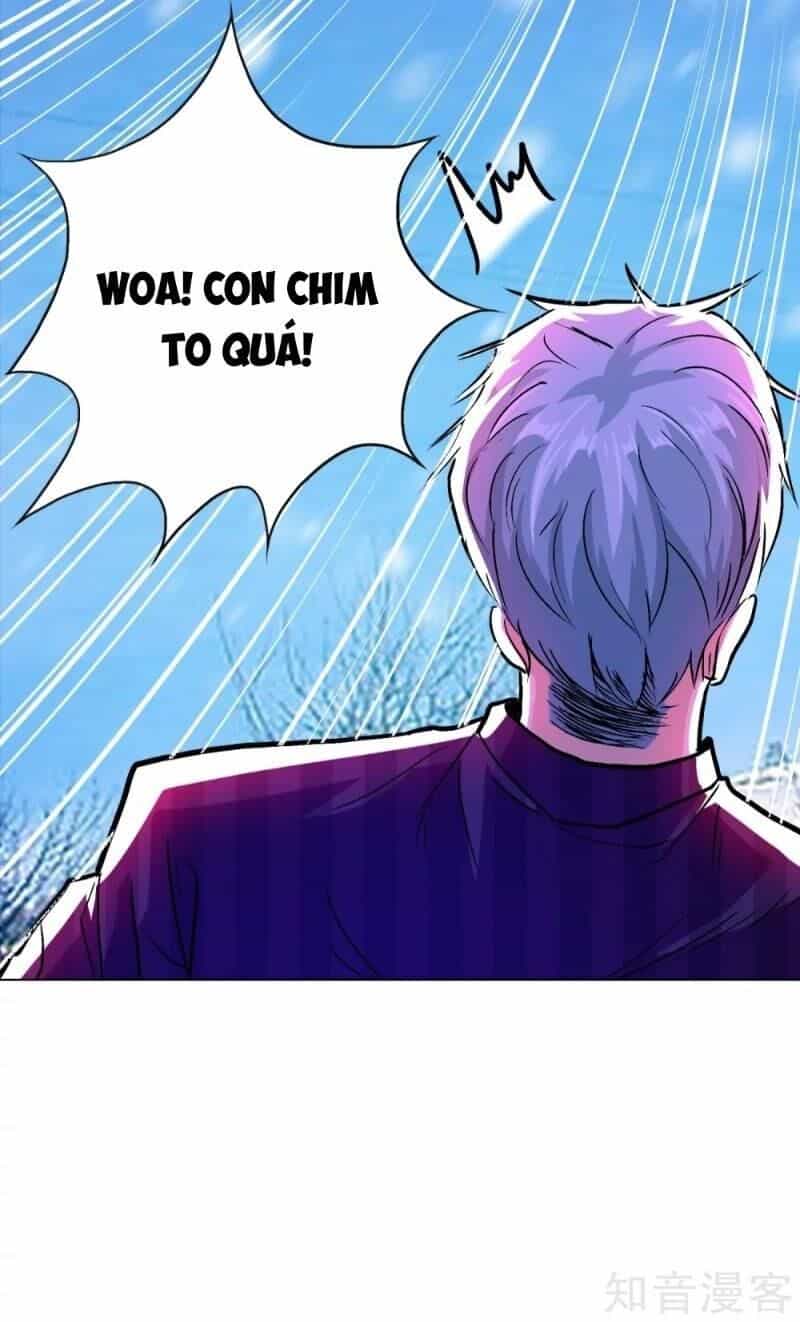 Hệ Thống Tiên Tôn Tại Đô Thị - Chương 99 - ảnh 38