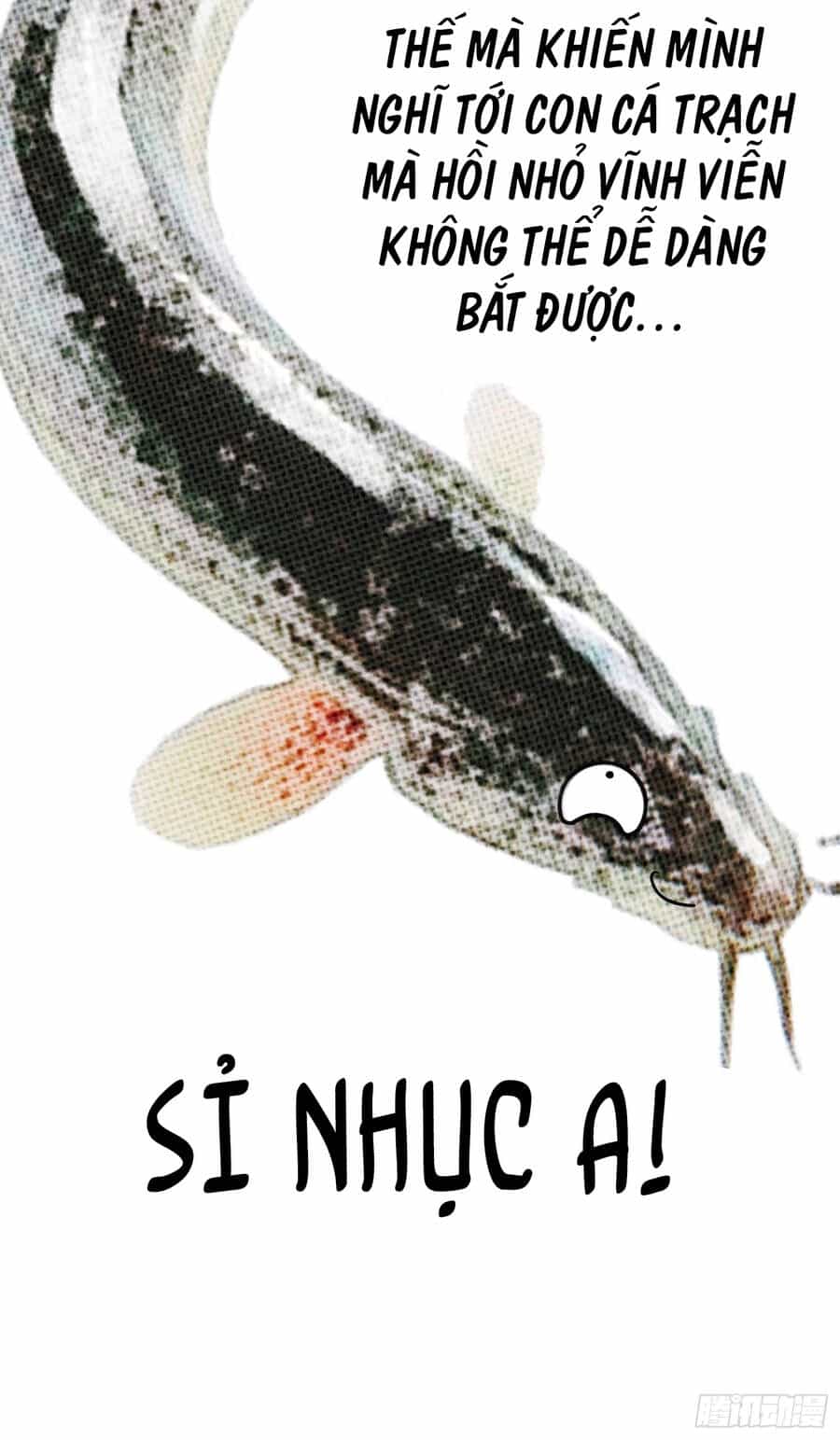Hệ Thống Trong Tay Ta Tha Hồ Lãng - Chương 5 - ảnh 47