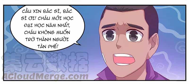Hệ Thống X Toàn Năng - Chương 45 - ảnh 4