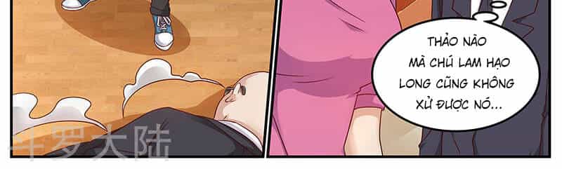 Hệ Thống X Toàn Năng - Chương 80 - ảnh 25