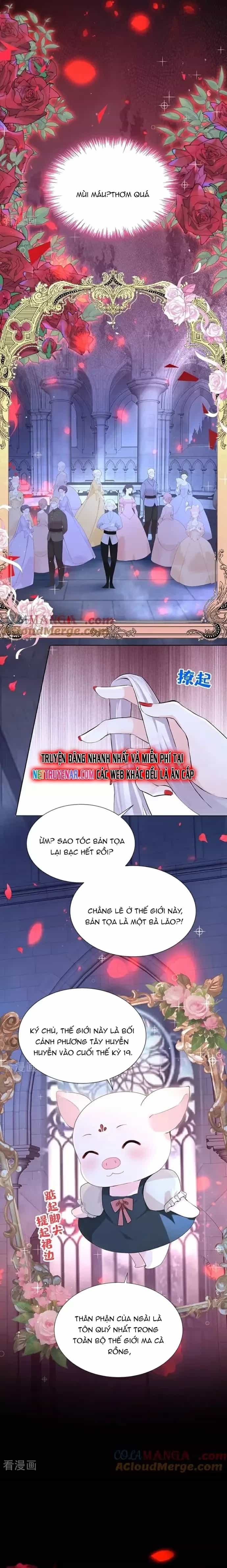 Hệ Thống Xuyên Nhanh: Ác Nam Không Dễ Chọc - Chương 144 - ảnh 6