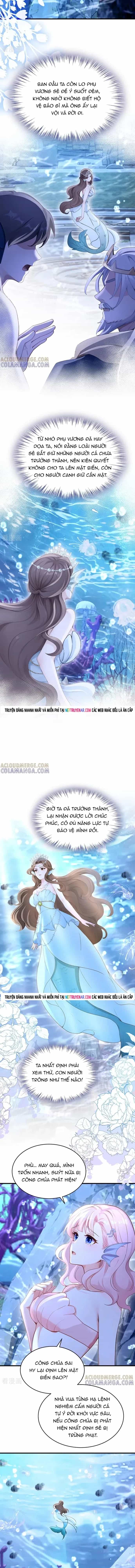 Hệ Thống Xuyên Nhanh: Ác Nam Không Dễ Chọc - Chương 247 - ảnh 6