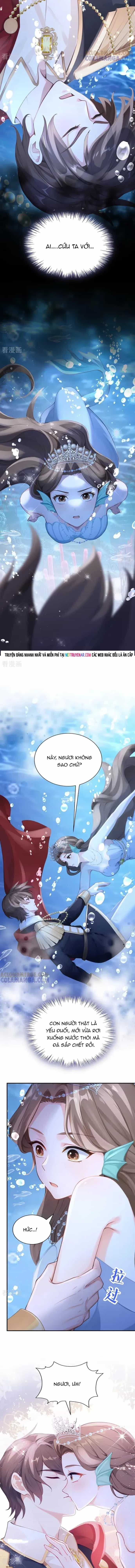 Hệ Thống Xuyên Nhanh: Ác Nam Không Dễ Chọc - Chương 248 - ảnh 5