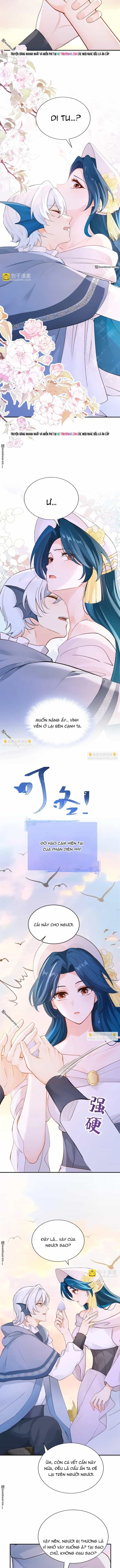 Hệ Thống Xuyên Nhanh: Ác Nam Không Dễ Chọc - Chương 268 - ảnh 4