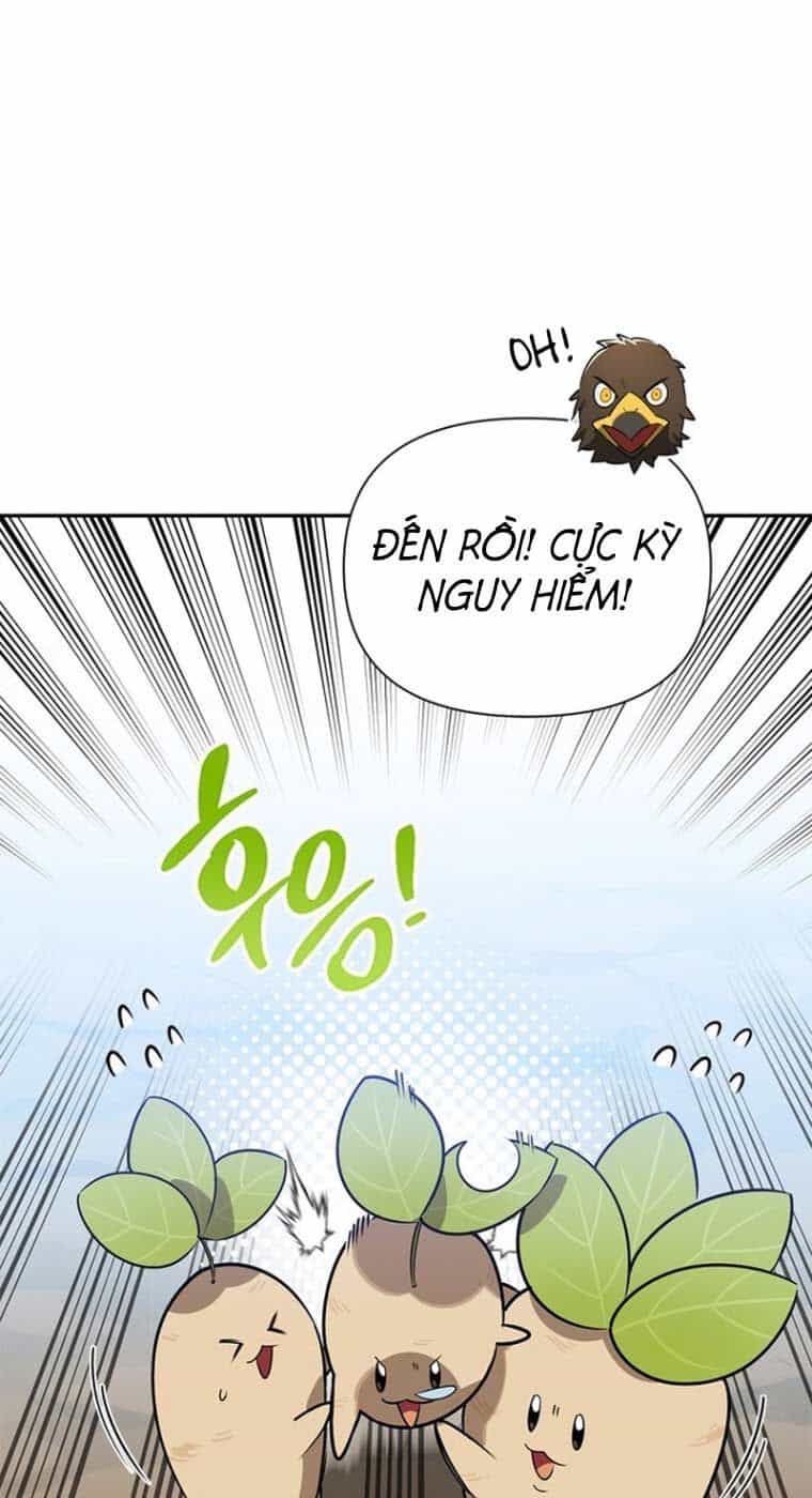 Healer Cấp S Chữa Trị Cho Quái Vật - Chương 0 - ảnh 17