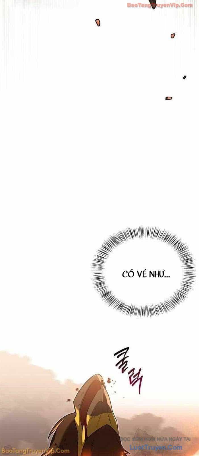 Healer Cấp S Chữa Trị Cho Quái Vật - Chương 16 - ảnh 45