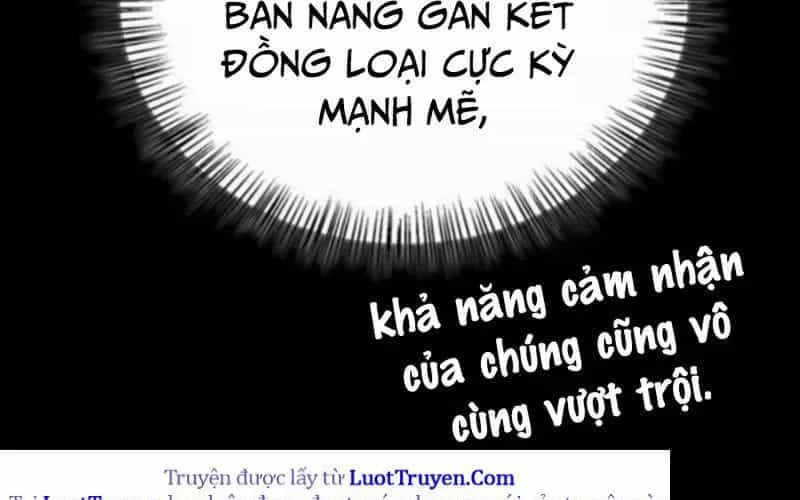 Healer Cấp S Chữa Trị Cho Quái Vật - Chương 18 - ảnh 61