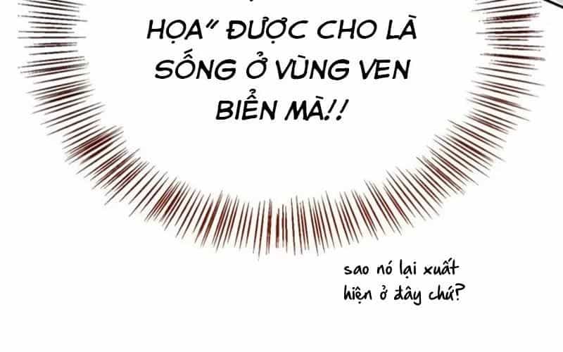 Healer Cấp S Chữa Trị Cho Quái Vật - Chương 19 - ảnh 15