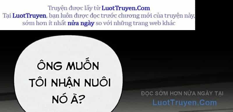 Healer Cấp S Chữa Trị Cho Quái Vật - Chương 19 - ảnh 200