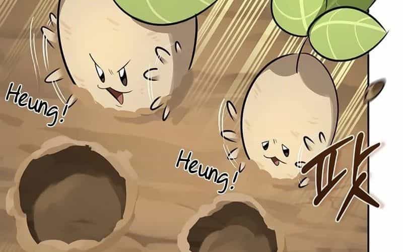 Healer Cấp S Chữa Trị Cho Quái Vật - Chương 19 - ảnh 213
