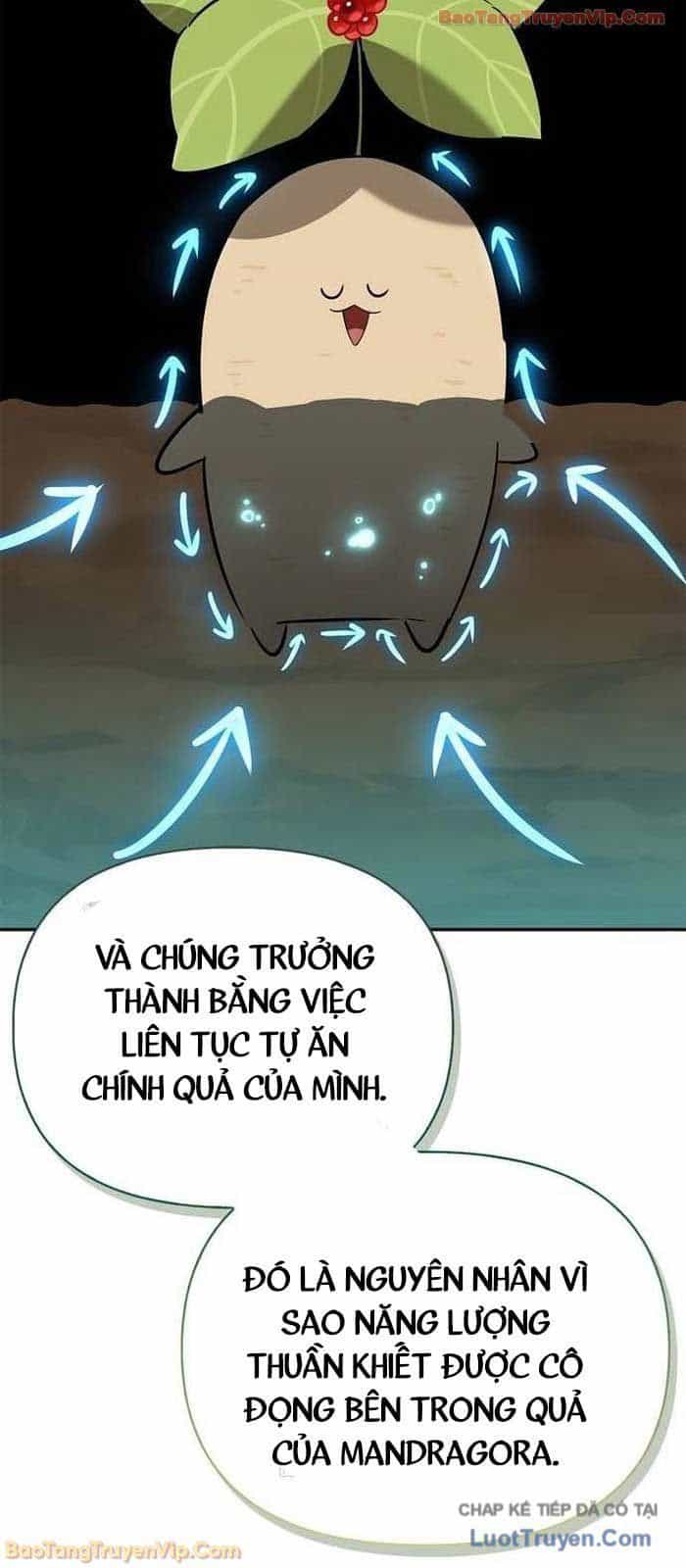 Healer Cấp S Chữa Trị Cho Quái Vật - Chương 23 - ảnh 85
