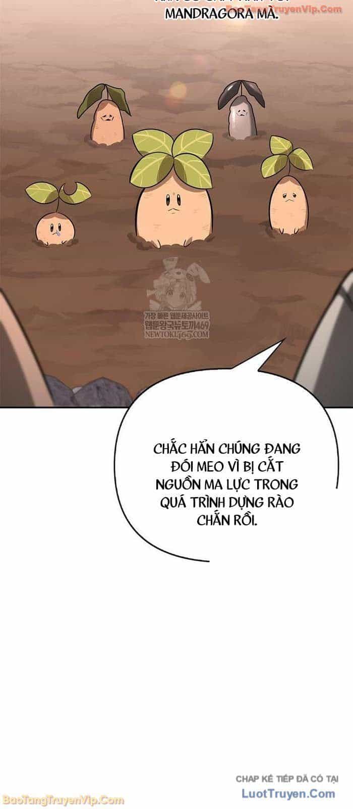 Healer Cấp S Chữa Trị Cho Quái Vật - Chương 25 - ảnh 5